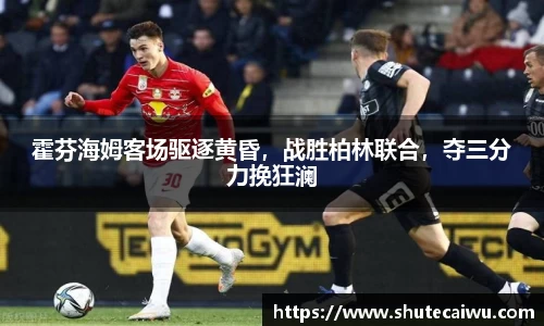 中欧体育