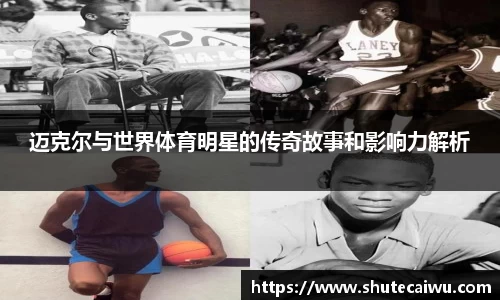 中欧体育官方网站