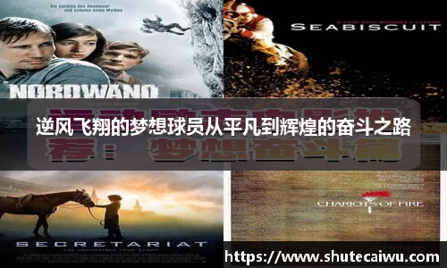 中欧体育官网