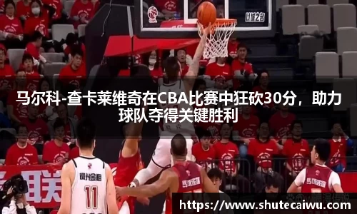 中欧体育app