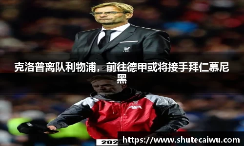 中欧体育