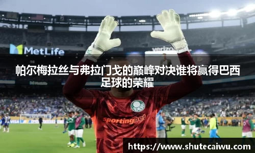 帕尔梅拉丝与弗拉门戈的巅峰对决谁将赢得巴西足球的荣耀